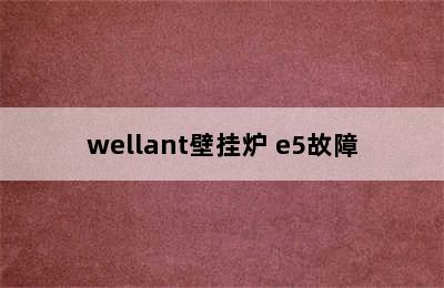 wellant壁挂炉 e5故障